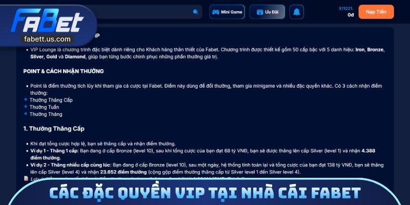 Các đặc quyền Vip tại nhà cái FABET