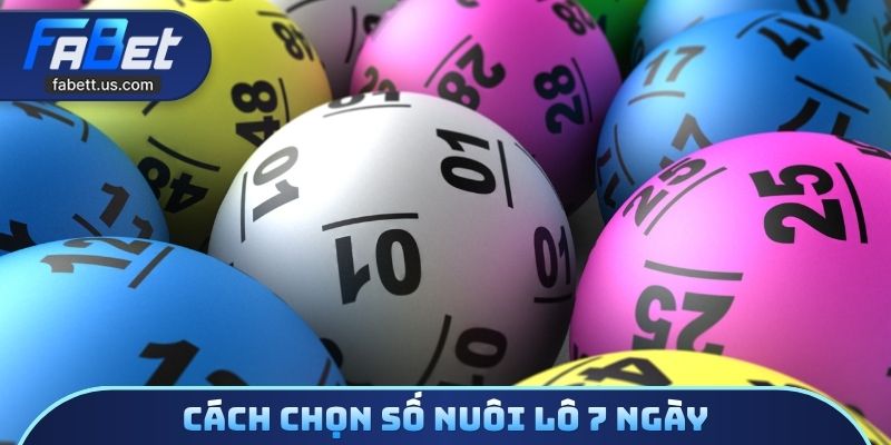 Cách chọn số nuôi lô 7 ngày