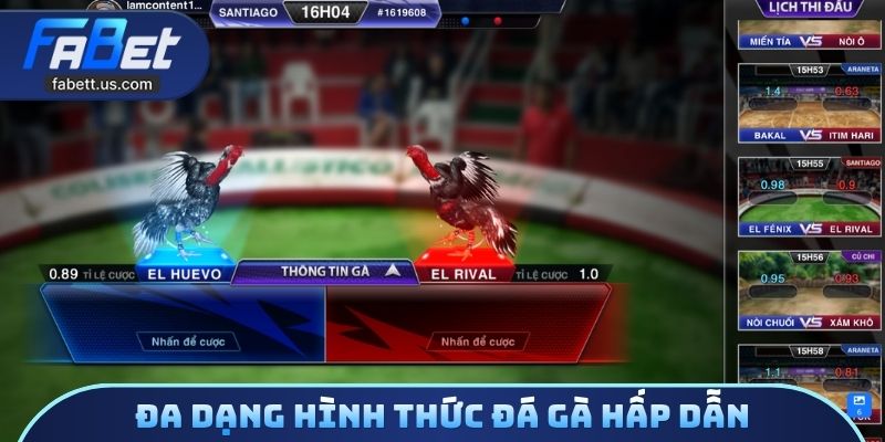 Đa dạng hình thức đá gà hấp dẫn