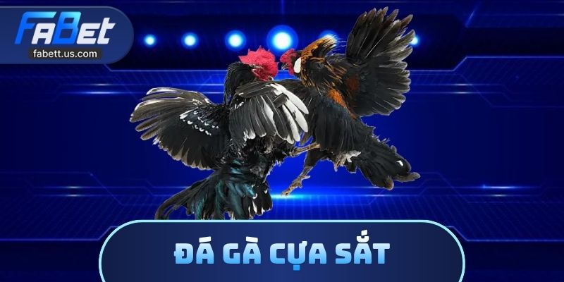 Đá Gà Cựa Sắt