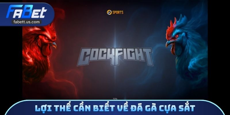 Lợi thế cần biết về đá gà cựa sắt