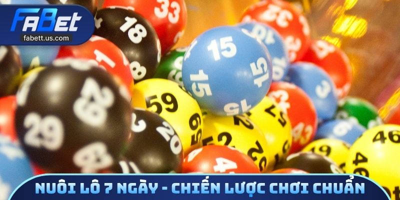 Nuôi lô 7 ngày - Chiến lược chơi chuẩn