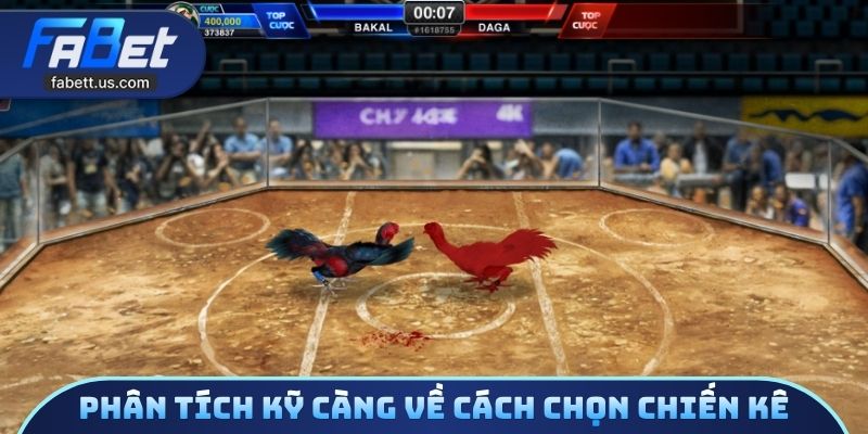 Phân tích kỹ càng về cách chọn chiến kê