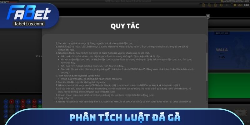 Phân tích luật đá gà