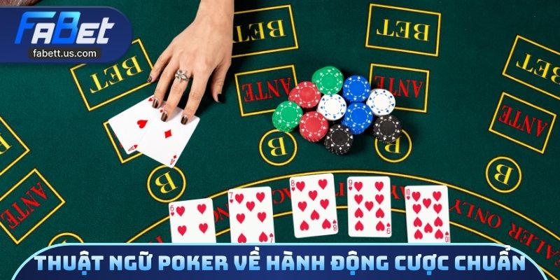 Thuật ngữ poker về hành động cược cơ bản