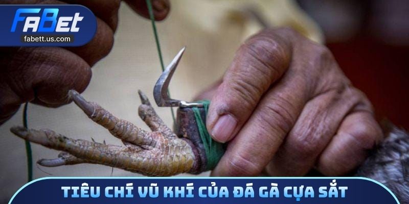 Tiêu chí vũ khí của đá gà cựa sắt