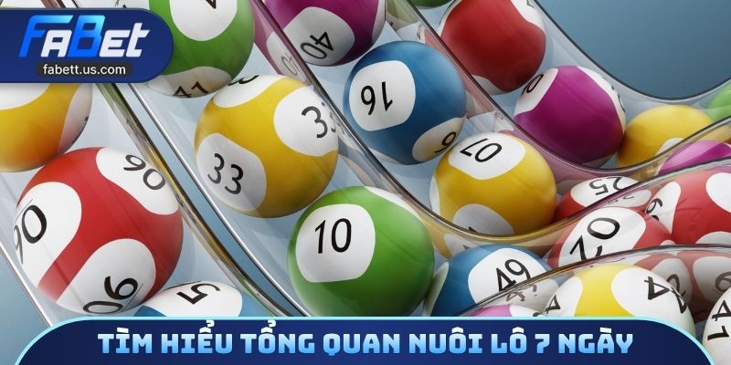 Tìm hiểu tổng quan nuôi lô 7 ngày